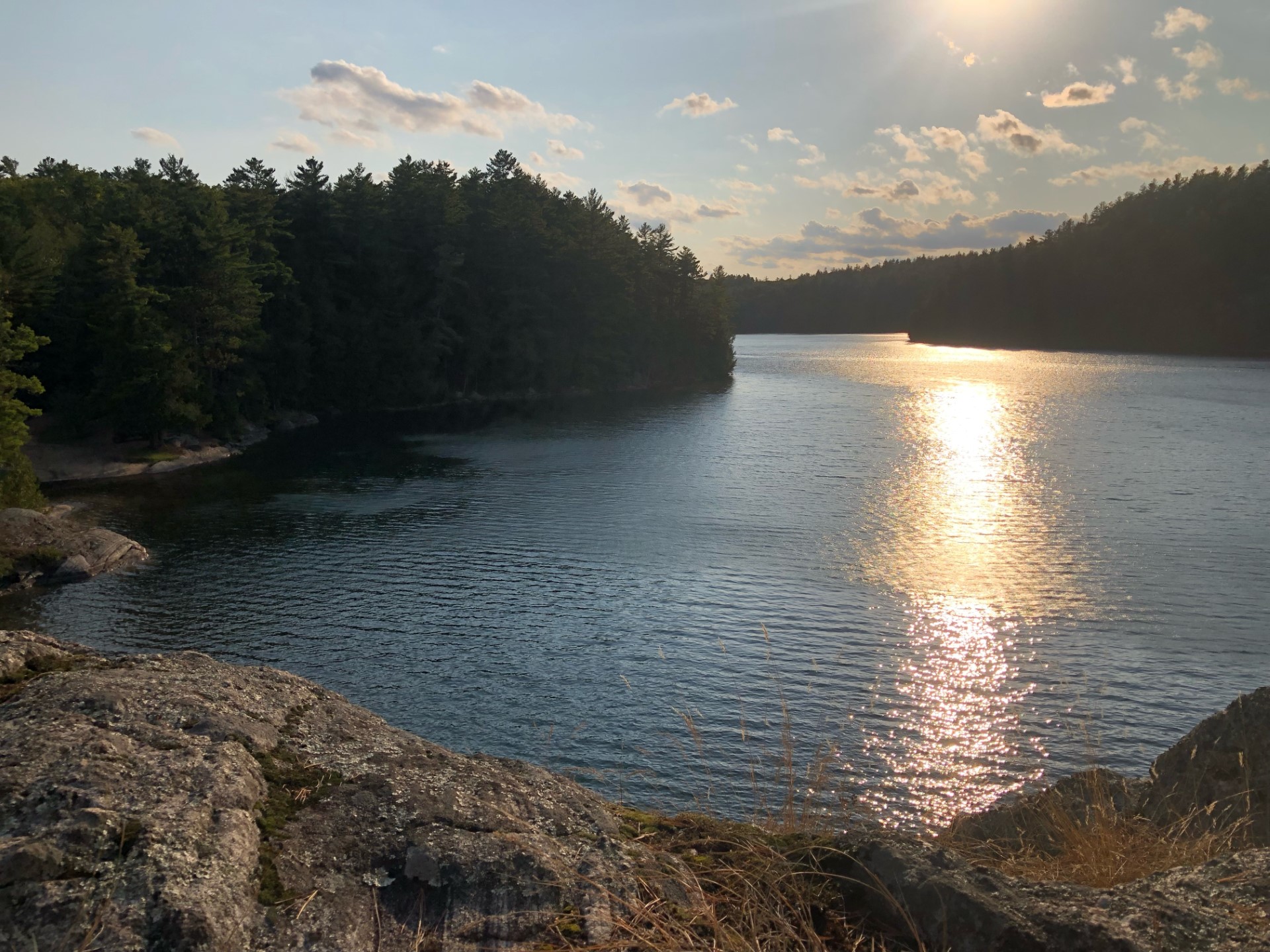 lake trees sunset