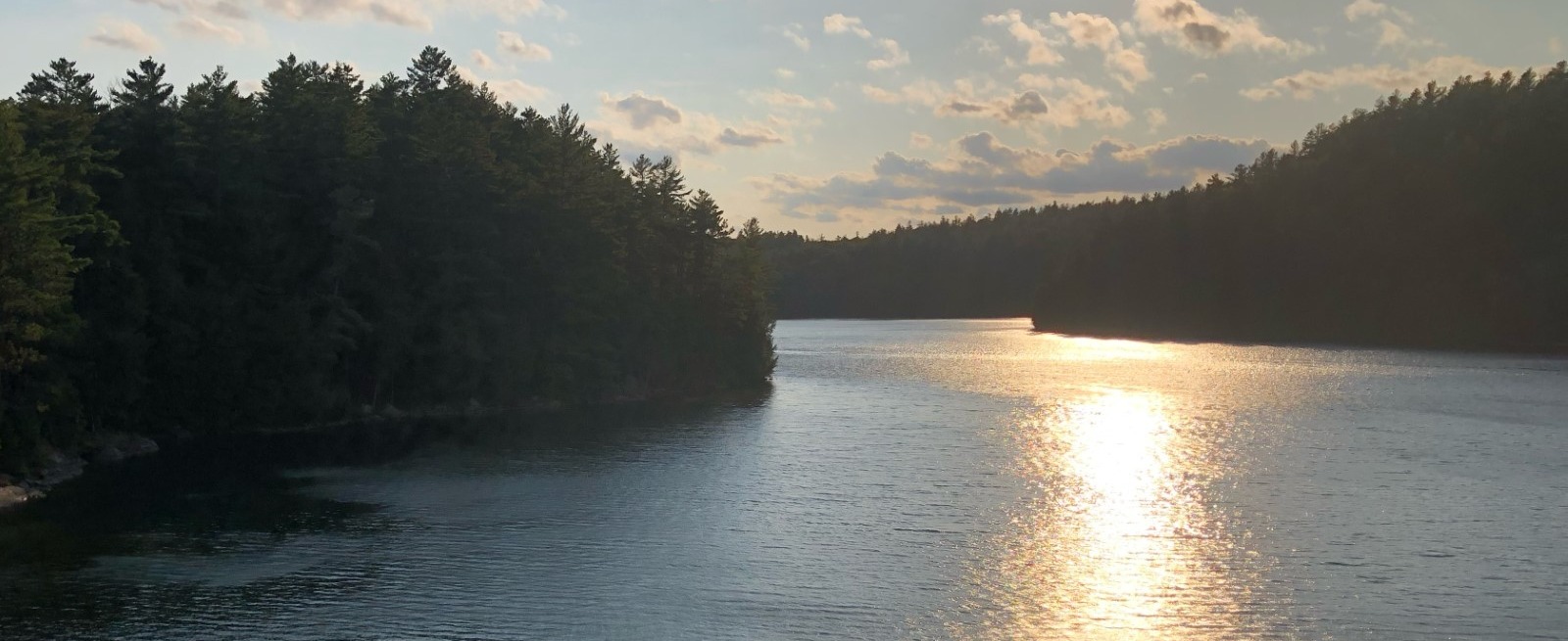 lake trees sunset