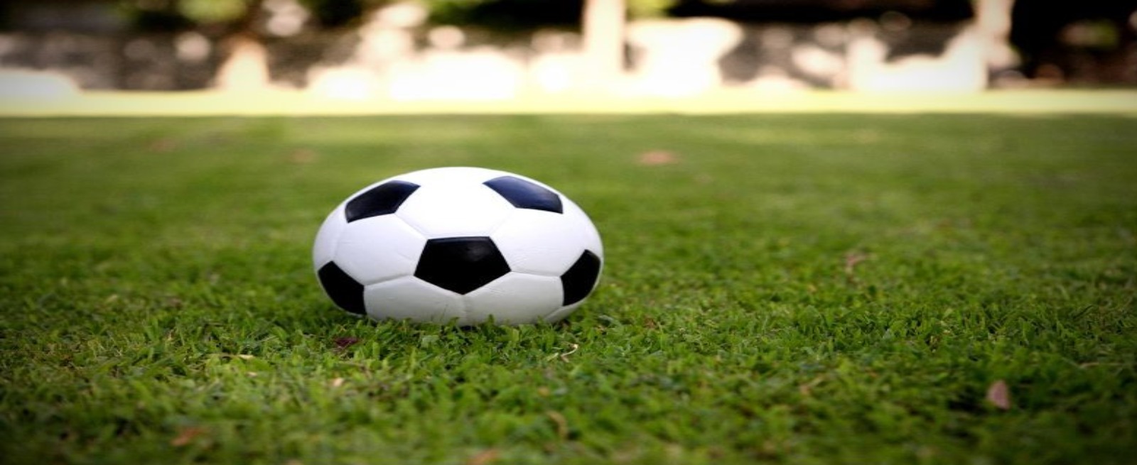 soccer ball and green grass